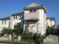 SN3T4119.jpg